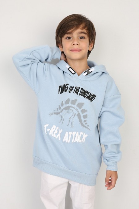 Üç İplik Şardonlu Baskılı Kapşonlu Erkek Çocuk Günlük Sweatshirt