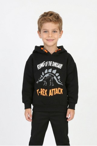 Erkek Çocuk Üç İplik Şardonlu Dinozor Ve Yazı Baskılı Kapüşonlu Günlük Sweatshirt