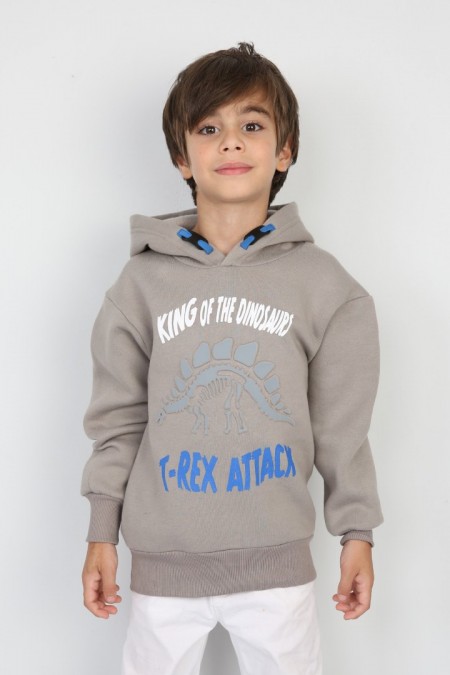 Üç İplik Şardonlu Baskılı Kapşonlu Erkek Çocuk Günlük Sweatshirt