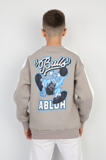 Üç İplik Şardonlu Arka Baskılı Erkek Çocuk Günlük Sweatshirt