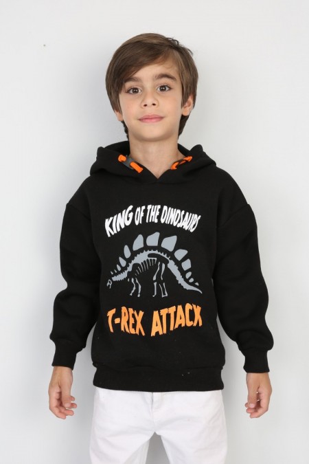 Üç İplik Şardonlu Baskılı Kapşonlu Erkek Çocuk Günlük Sweatshirt
