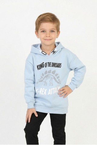 Erkek Çocuk Üç İplik Şardonlu Dinozor Ve Yazı Baskılı Kapüşonlu Günlük Sweatshirt