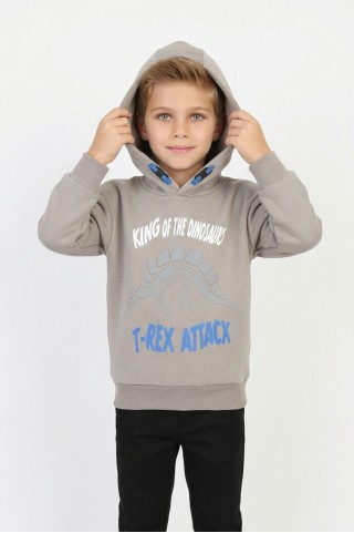 Erkek Çocuk Üç İplik Şardonlu Dinozor Ve Yazı Baskılı Kapüşonlu Günlük Sweatshirt