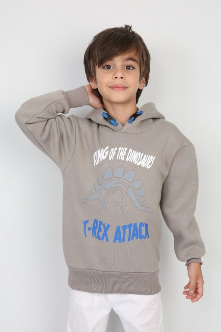 Üç İplik Şardonlu Baskılı Kapşonlu Taş Sweat