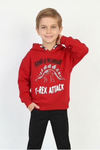 Erkek Çocuk Üç İplik Şardonlu Dinozor Ve Yazı Baskılı Kapüşonlu Günlük Sweatshirt