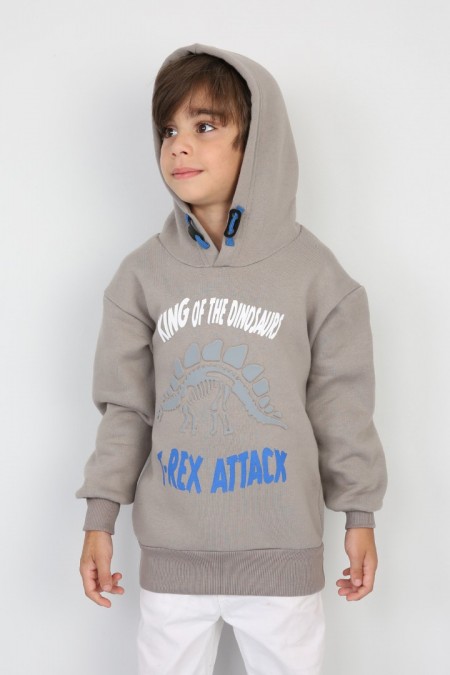 Üç İplik Şardonlu Baskılı Kapşonlu Erkek Çocuk Günlük Sweatshirt