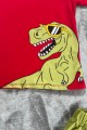 Dinozor Baskı Erkek Çocuk Takım