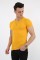Erkek Bisiklet Yaka Slim Fit Pamuklu Esnek Kumaş Kısa Kollu Günlük Tişört